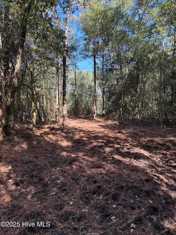 $140,000 | Off Earl Price Road, Deep Run, NC 28525