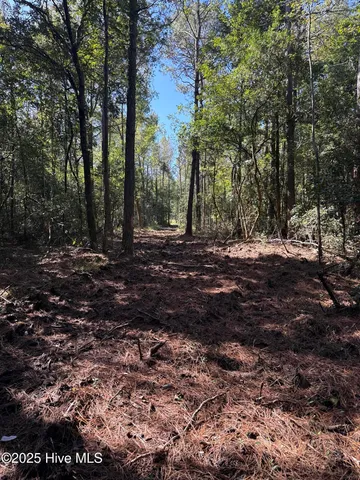 $140,000 | Off Earl Price Road, Deep Run, NC 28525