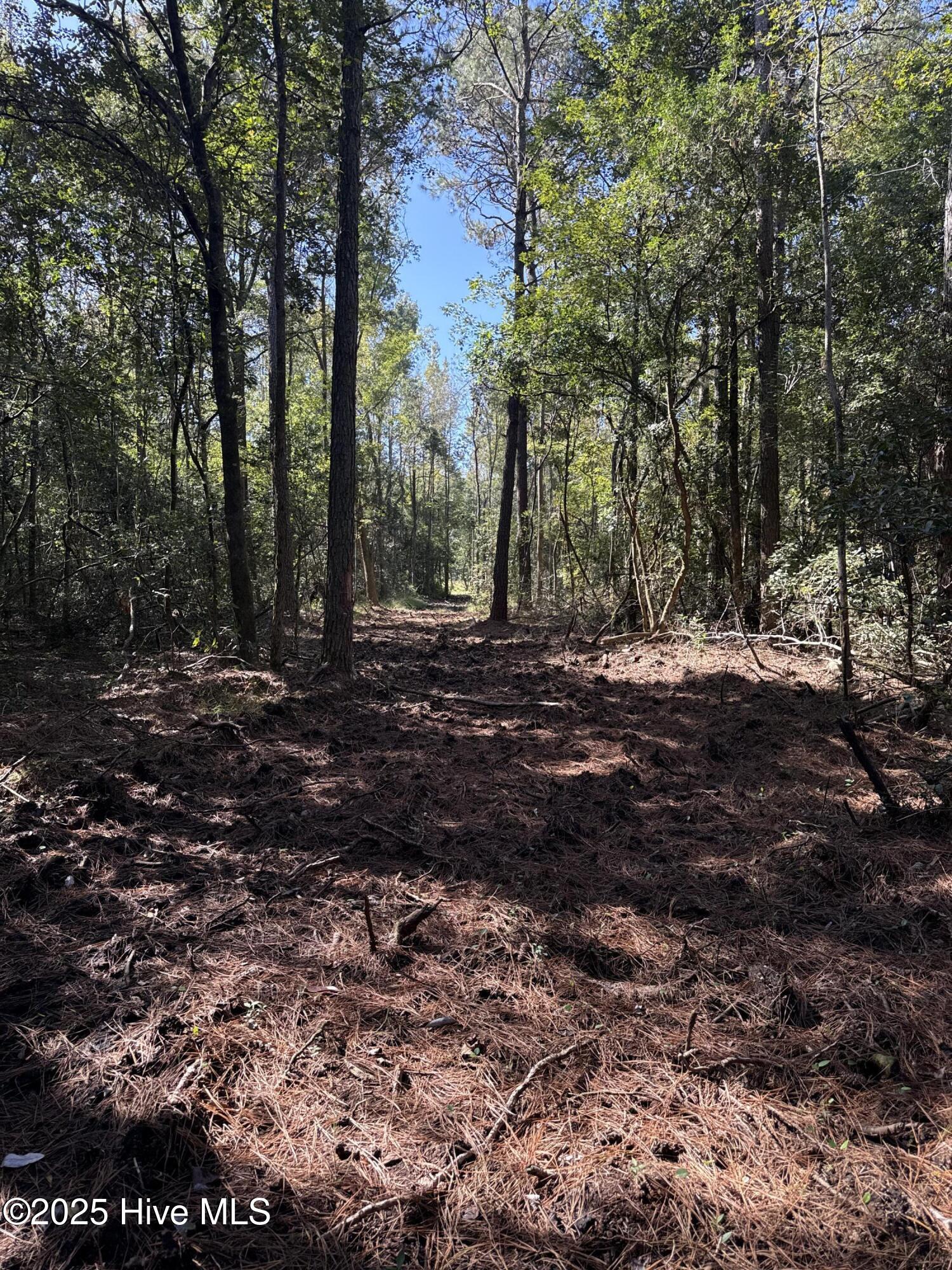 Off Earl Price Road Deep Run, NC 28525 - Photo 17 of 18 DJI_20251003_105349_064