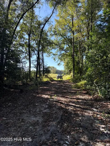 $140,000 | Off Earl Price Road, Deep Run, NC 28525