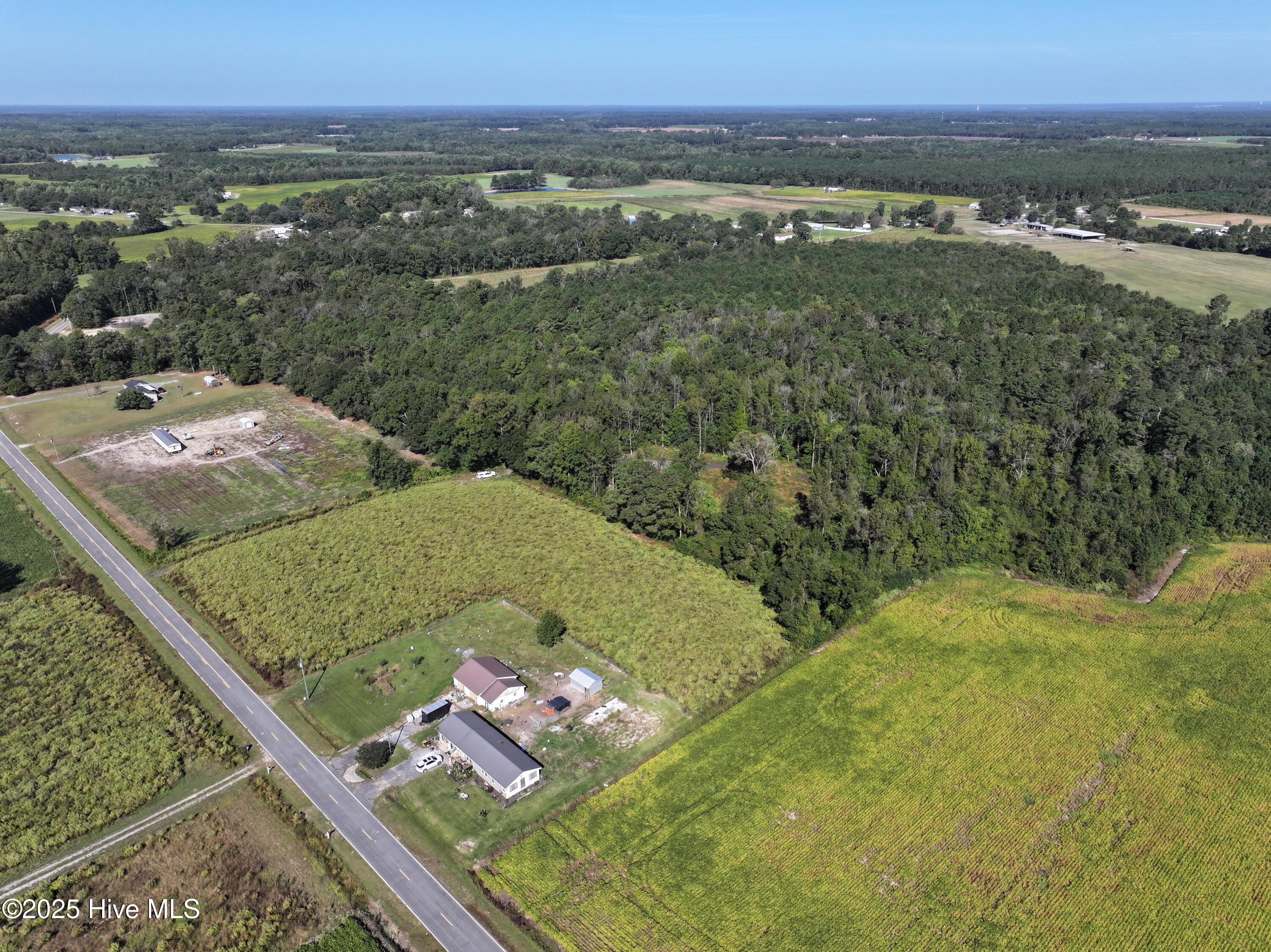 Off Earl Price Road Deep Run, NC 28525 - Photo 4 of 18 DJI_20251003101123_0105_D