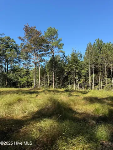 $140,000 | Off Earl Price Road, Deep Run, NC 28525