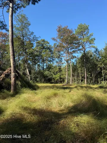 $140,000 | Off Earl Price Road, Deep Run, NC 28525