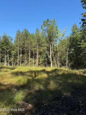 $140,000 | Off Earl Price Road, Deep Run, NC 28525