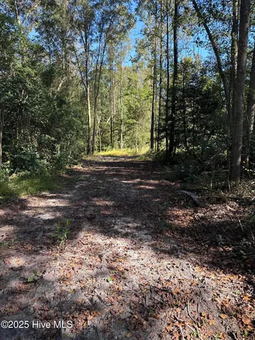 $140,000 | Off Earl Price Road, Deep Run, NC 28525
