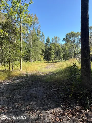 $140,000 | Off Earl Price Road, Deep Run, NC 28525