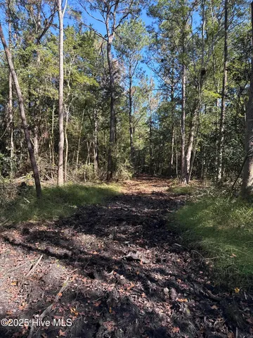 $140,000 | Off Earl Price Road, Deep Run, NC 28525