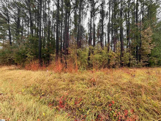 $238,000 | 0 Beech Springs Road, Pelzer, SC 29669