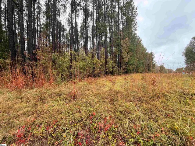 $238,000 | 0 Beech Springs Road, Pelzer, SC 29669