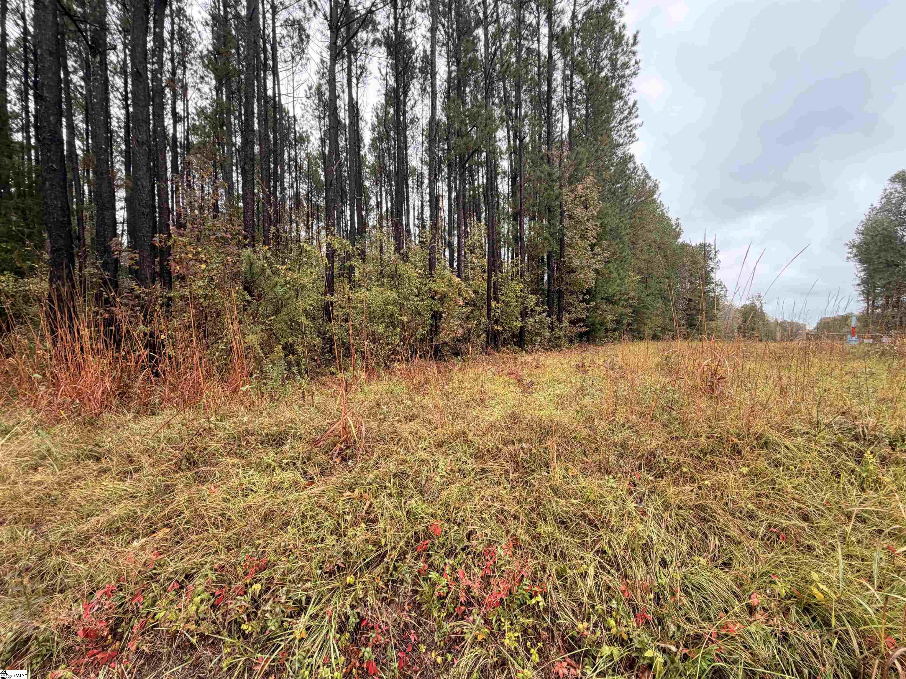 0 Beech Springs Road Pelzer, SC 29669 - Photo 3 of 6