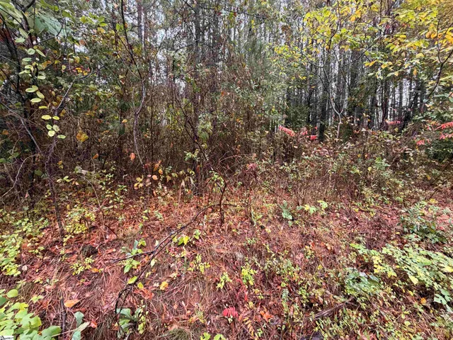 $238,000 | 0 Beech Springs Road, Pelzer, SC 29669