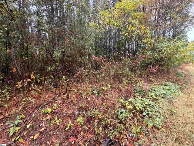 $238,000 | 0 Beech Springs Road, Pelzer, SC 29669