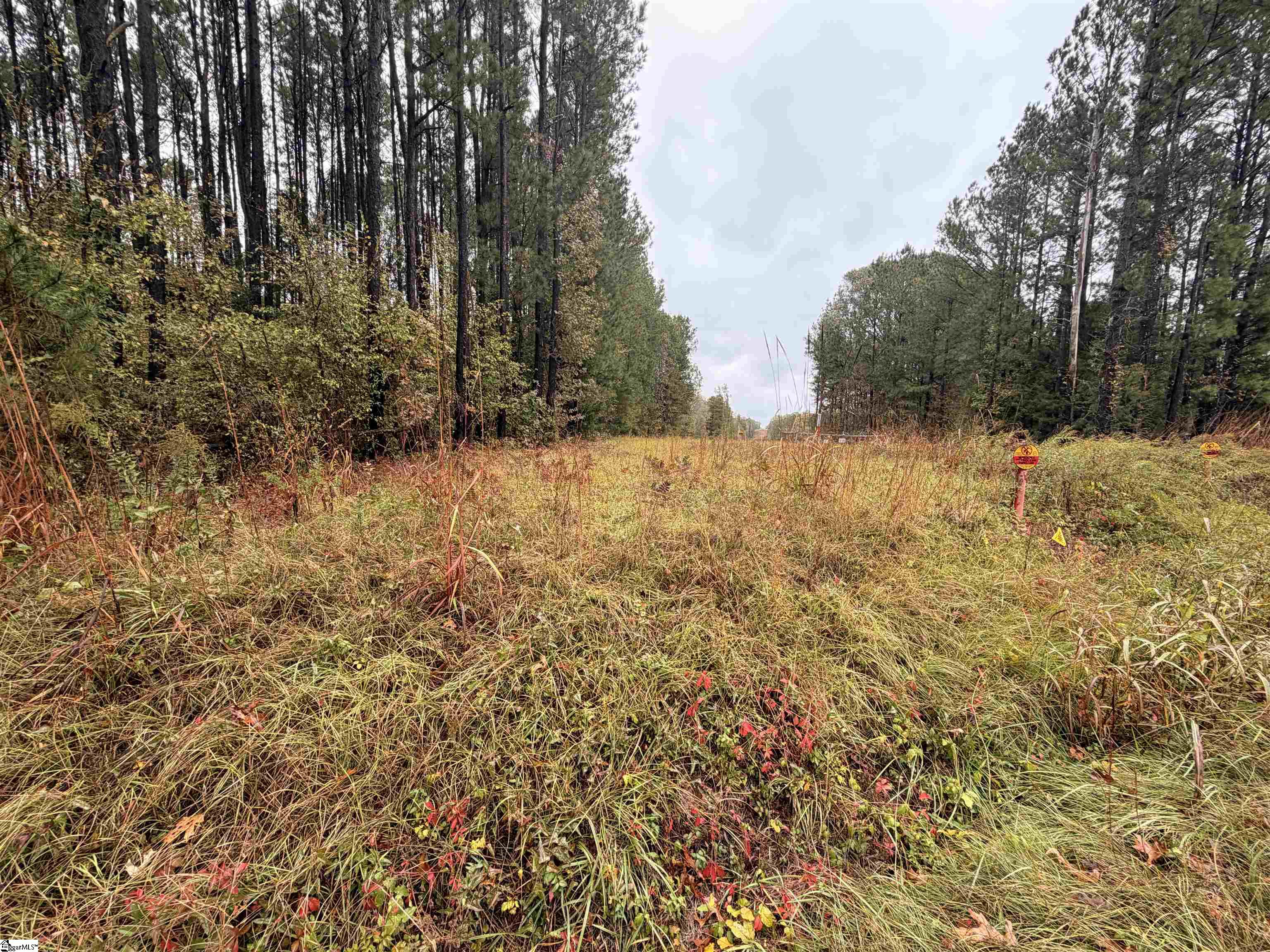 0 Beech Springs Road Pelzer, SC 29669 - Photo 6 of 6