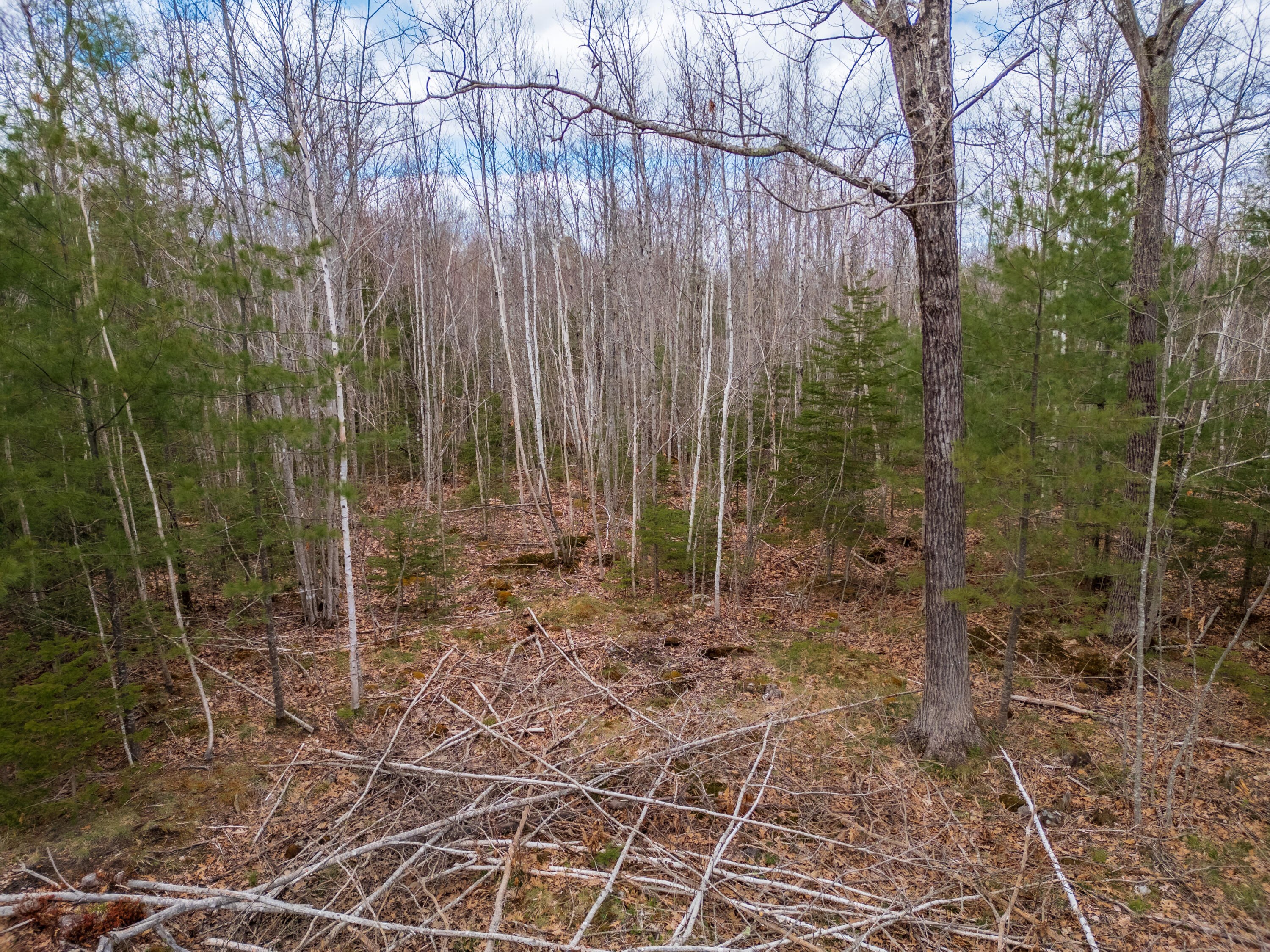 Lot #00 Porcupine Ridge Thomaston, ME 04861 - Photo 16 of 18 DJI_0493-HDR