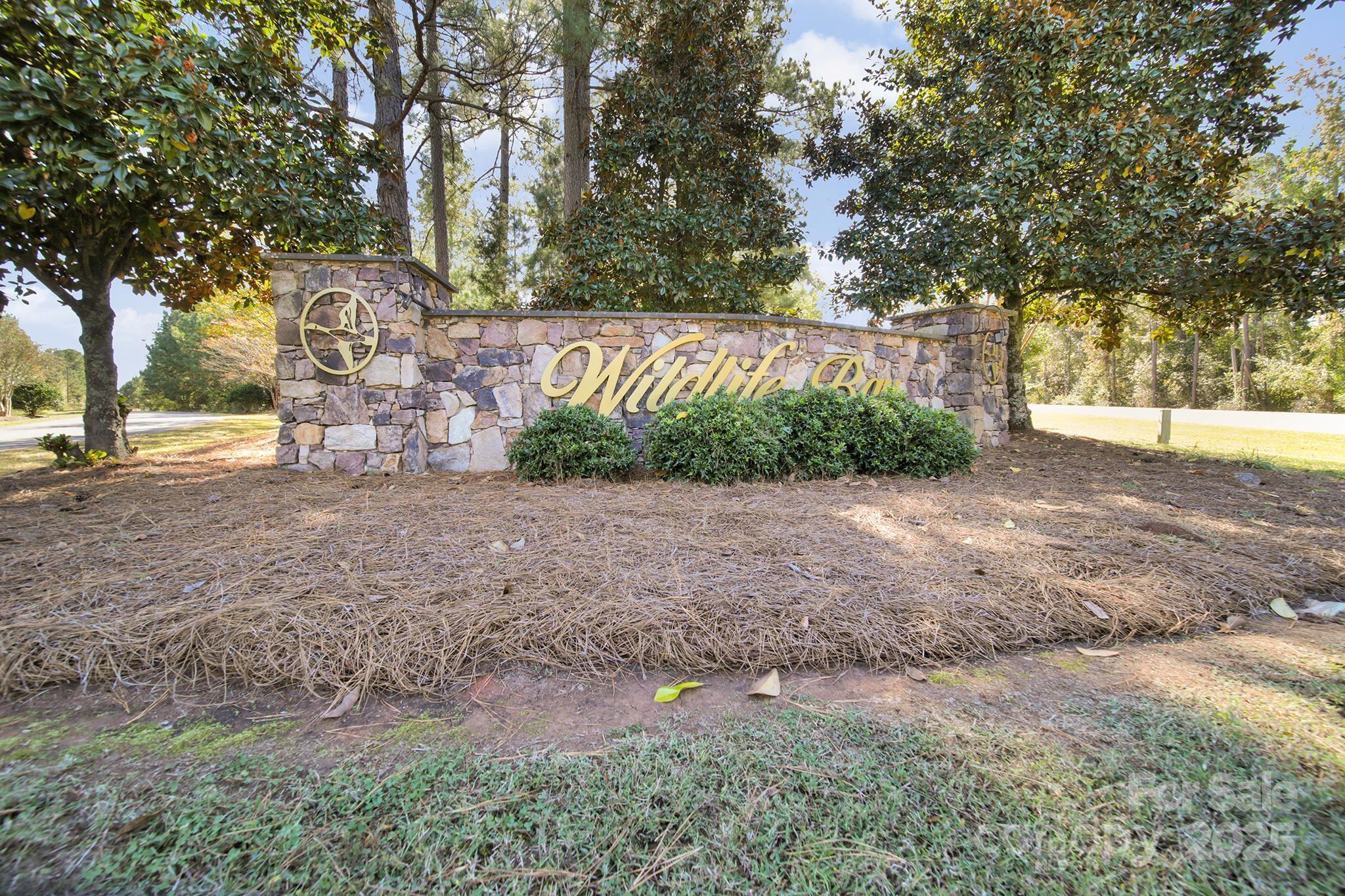 1199 Brunson Road Fort Lawn, SC 29714 - Photo 2 of 48 a backyard of a house with lots of green space