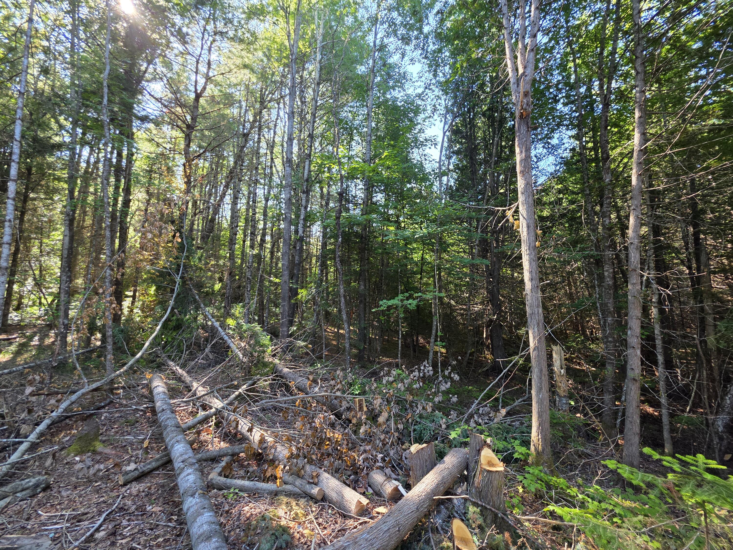 36 South Road Lee, ME 04455 - Photo 12 of 23 20250718_160947