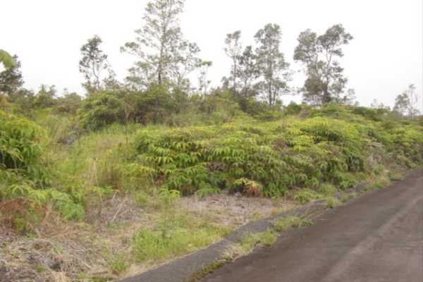 1374 Volcano Road Mountain View, HI 96771 - Photo 1 of 3 a view of a yard with a tree