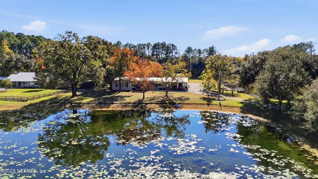 a view of a tree in the middle of a yard