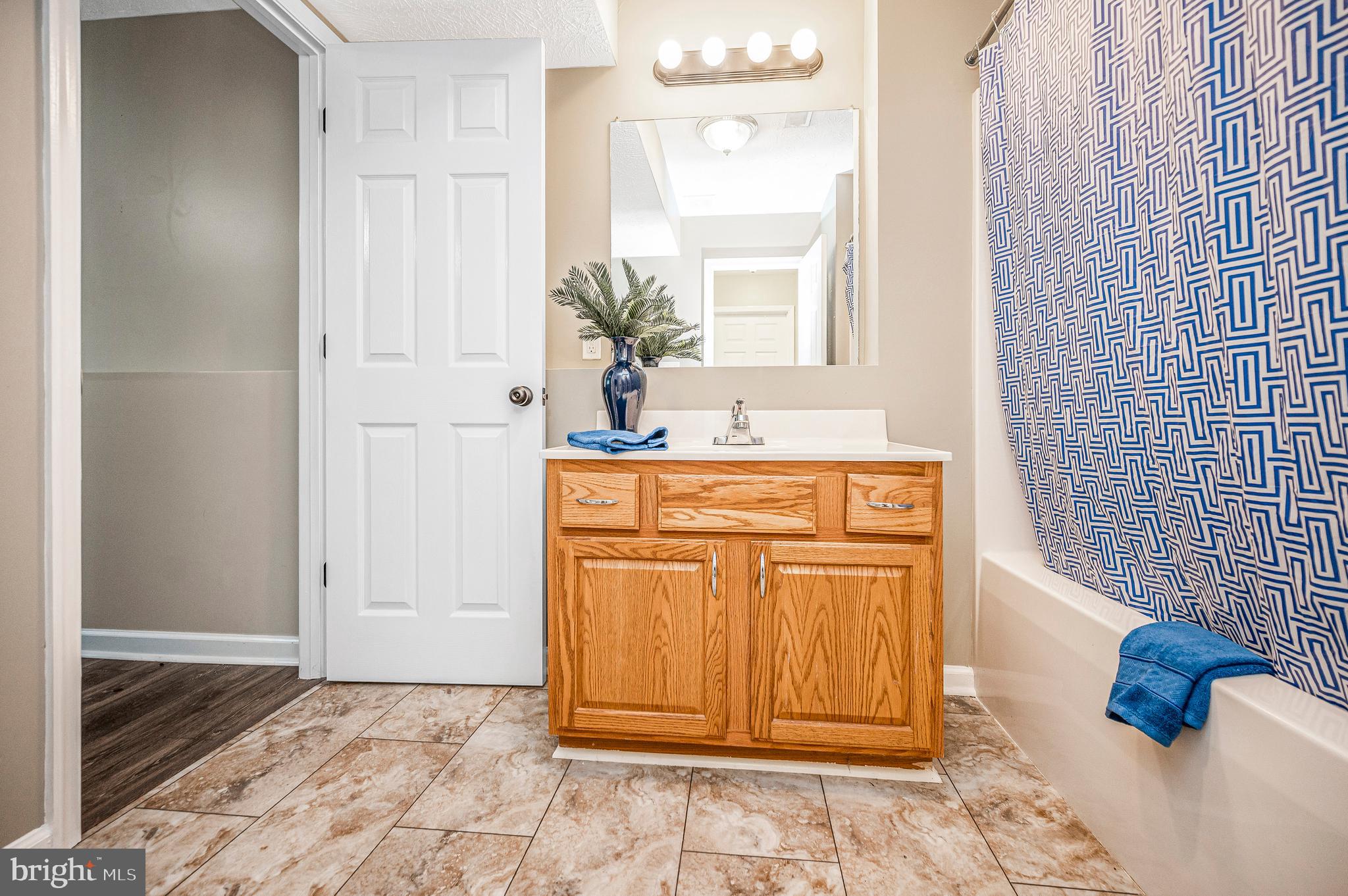 305 Birdie Road Locust Grove, VA 22508 - Photo 58 of 64 lower bath