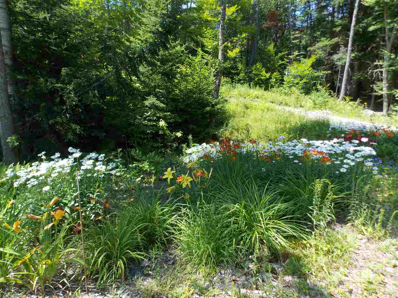 1736 Stinson Lake Road Rumney, NH 03266 - Photo 4 of 28