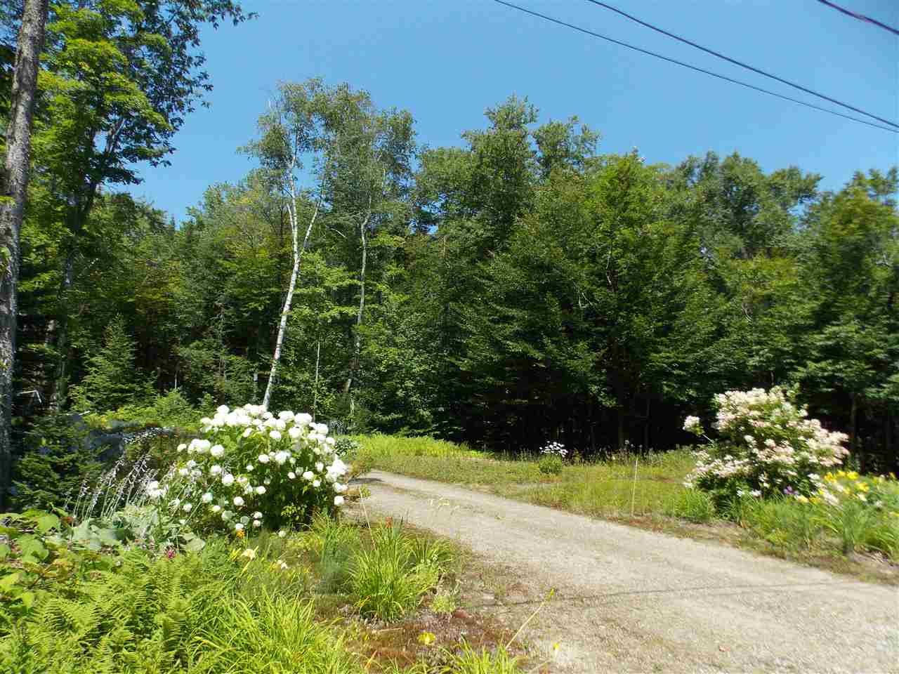 1736 Stinson Lake Road Rumney, NH 03266 - Photo 6 of 28