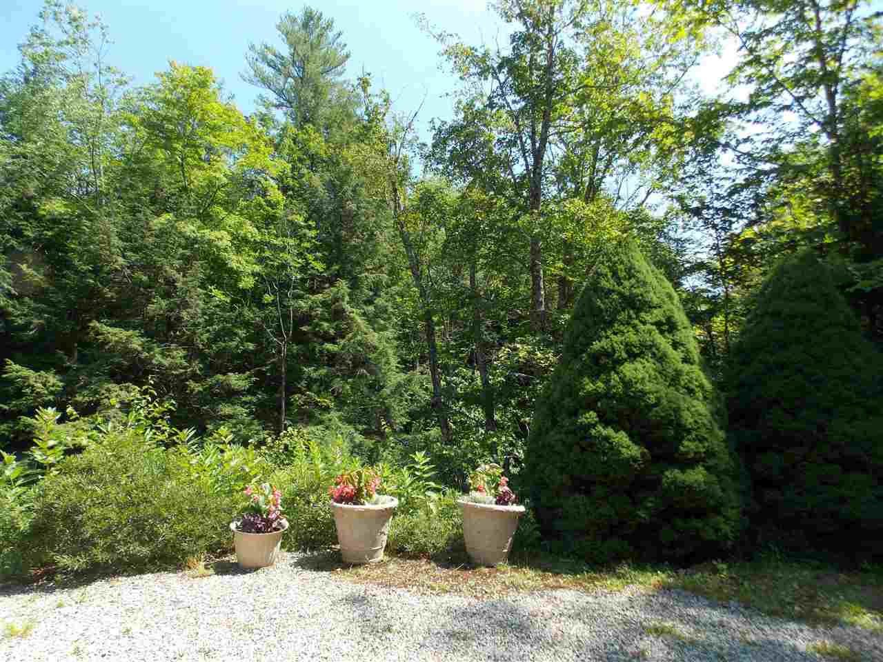 1736 Stinson Lake Road Rumney, NH 03266 - Photo 8 of 28