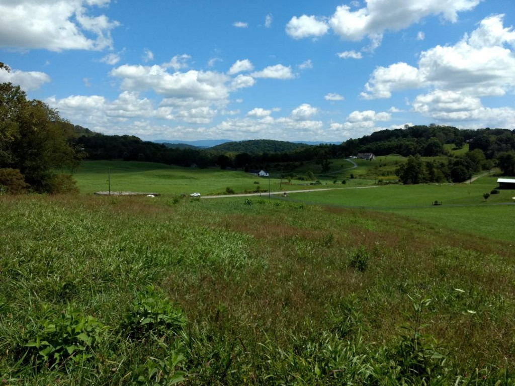 Tdb Buffalo Pond Road Bristol, VA 24202 - Photo 1 of 6 Fantastic Views