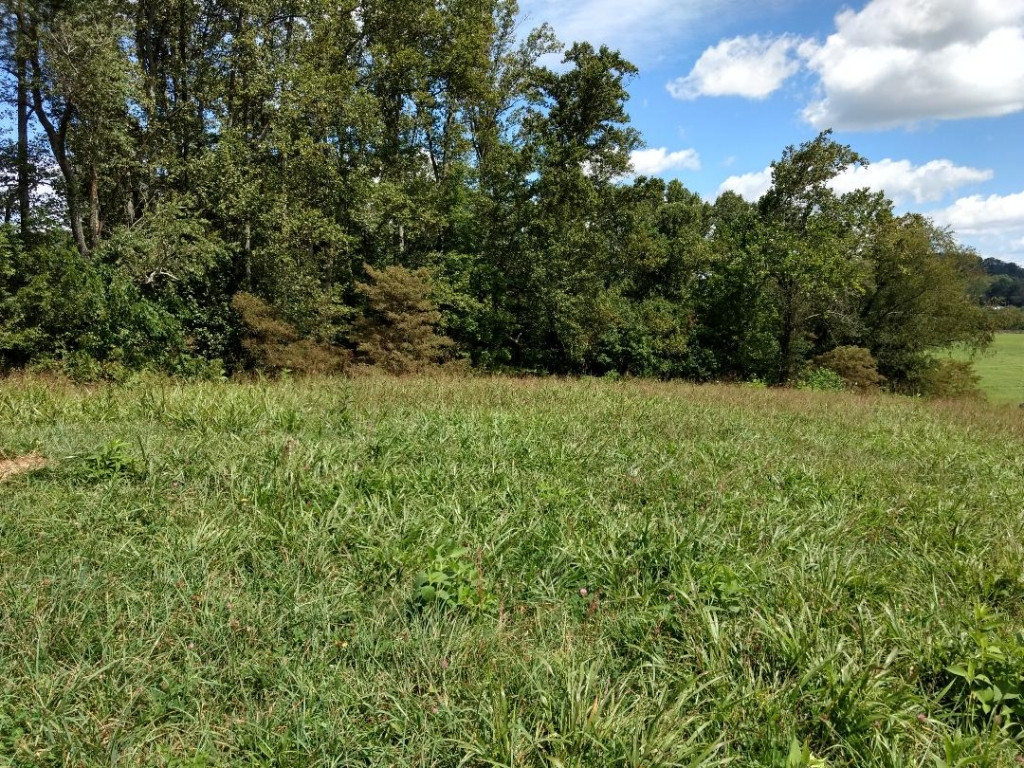 Tdb Buffalo Pond Road Bristol, VA 24202 - Photo 5 of 6 Photo 5