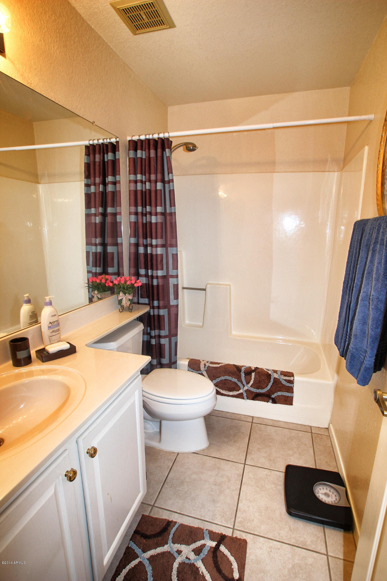 14545 West Raindance Road Surprise, AZ 85374 - Photo 12 of 25 hallbath
