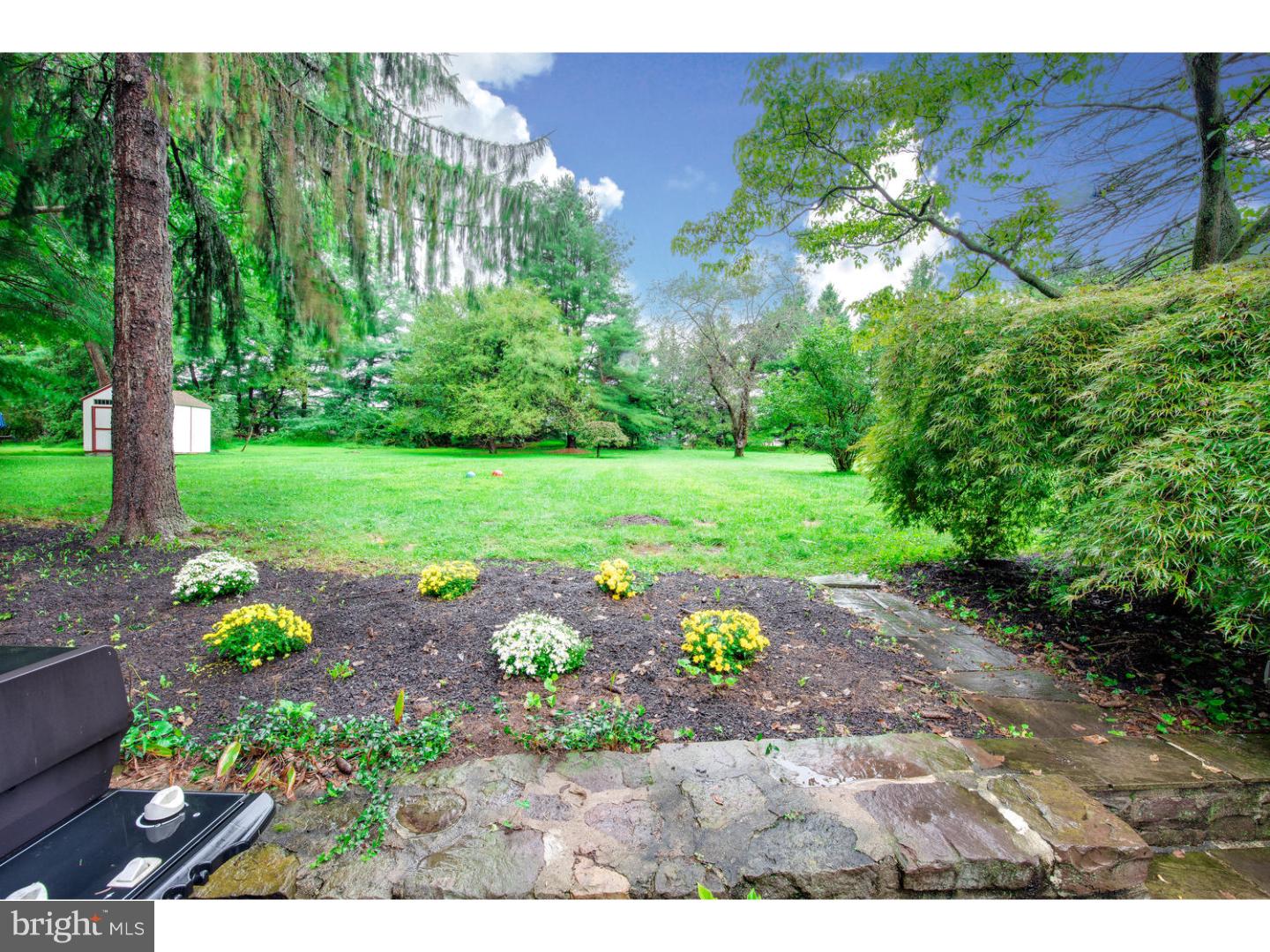 5927 Stovers Mill Road Doylestown, PA 18902 - Photo 2 of 21 Back Yard