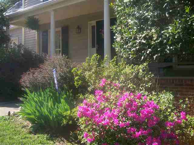 505 Fruitville Road Greenville, SC 29607 - Photo 4 of 17 Gallery Image 4