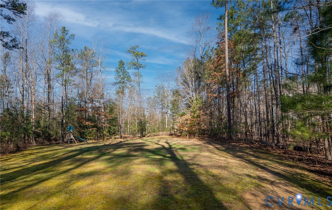 8825 First Branch Lane Chesterfield, VA 23838 - Photo 58 of 63 a view of outdoor space with trees