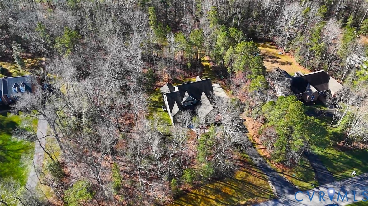 8825 First Branch Lane Chesterfield, VA 23838 - Photo 60 of 63 a backyard of a house with lots of green space