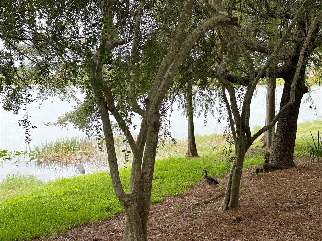 5024 Shoreway Loop, Unit 107 Orlando, FL 32819 - Photo 55 of 65
