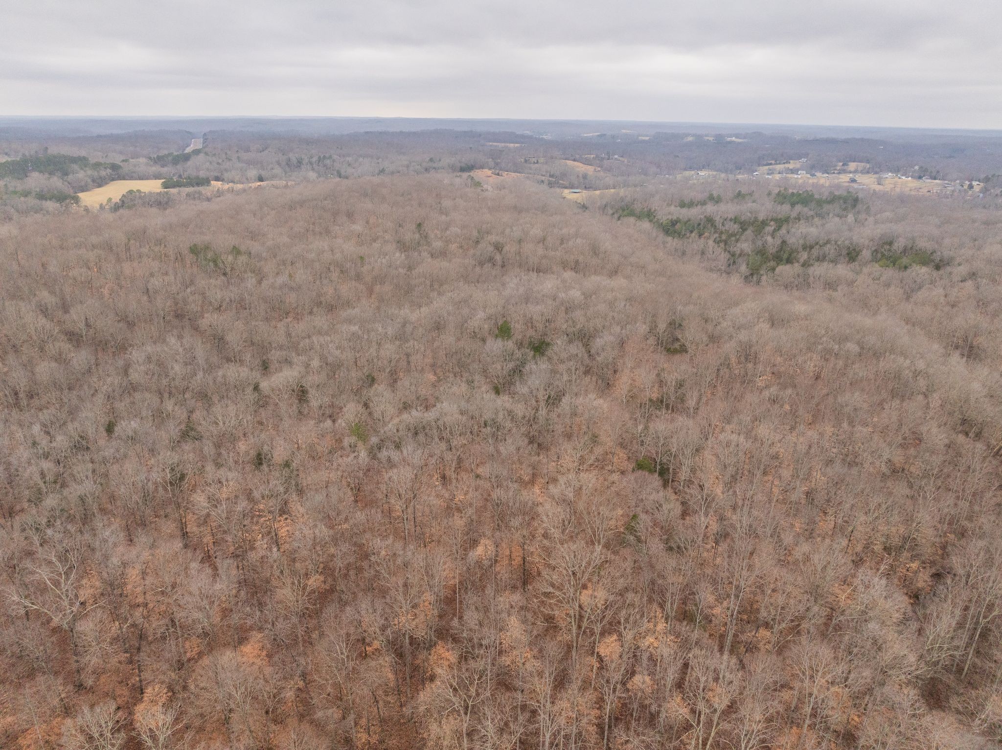 0 Wiley Branch Road Dickson, TN 37055 - Photo 22 of 27