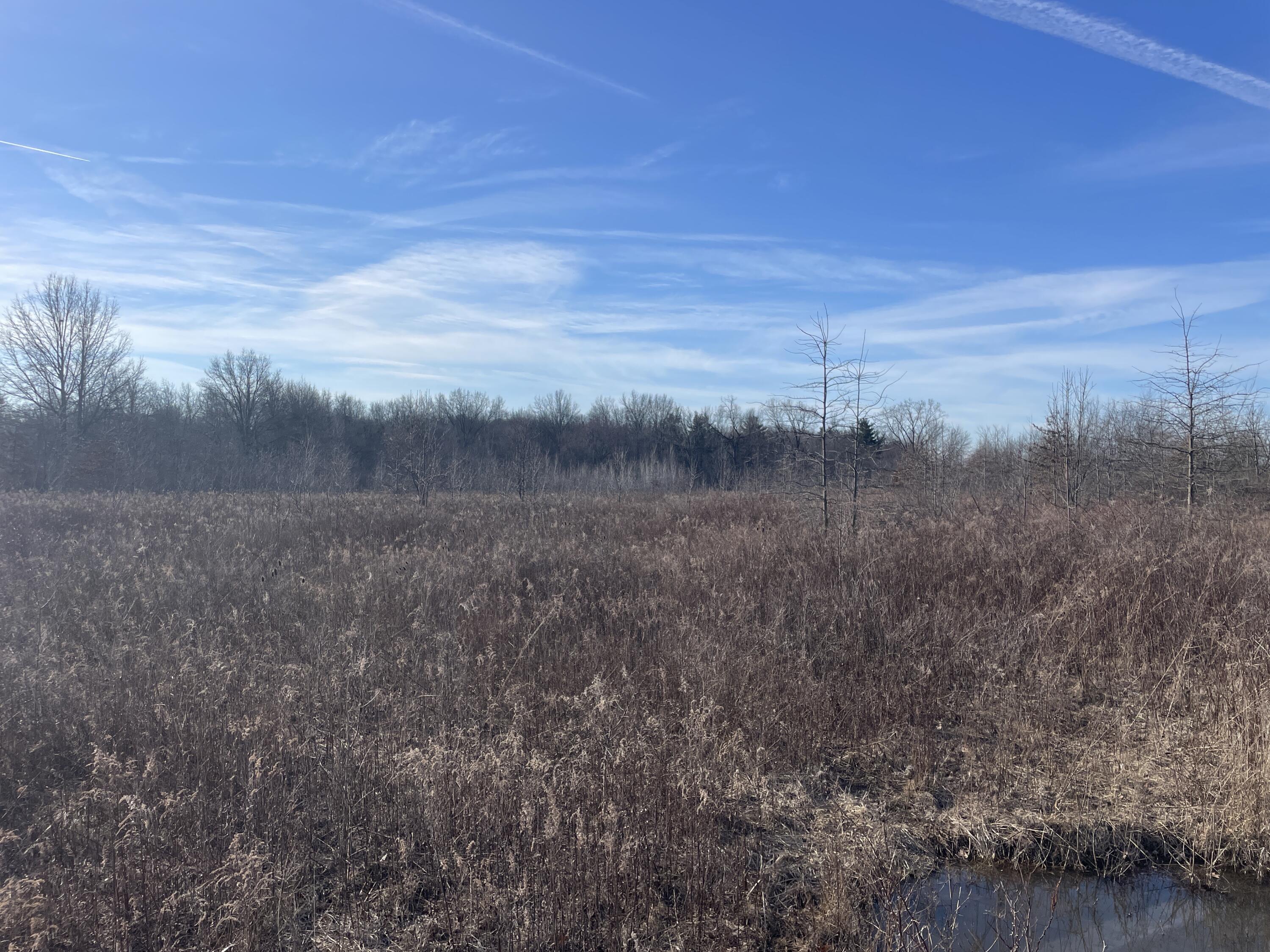 0 Reichelderfer Road Wapakoneta, OH 45895 - Photo 15 of 25