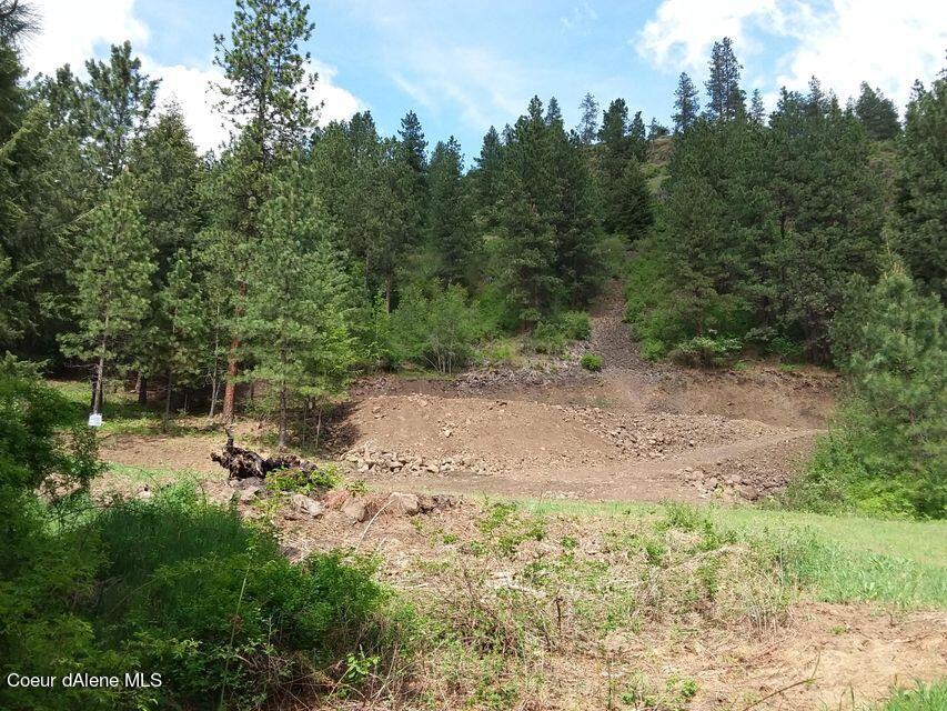 Odessa Loop Street St. Maries, ID 83861 - Photo 1 of 1 property
