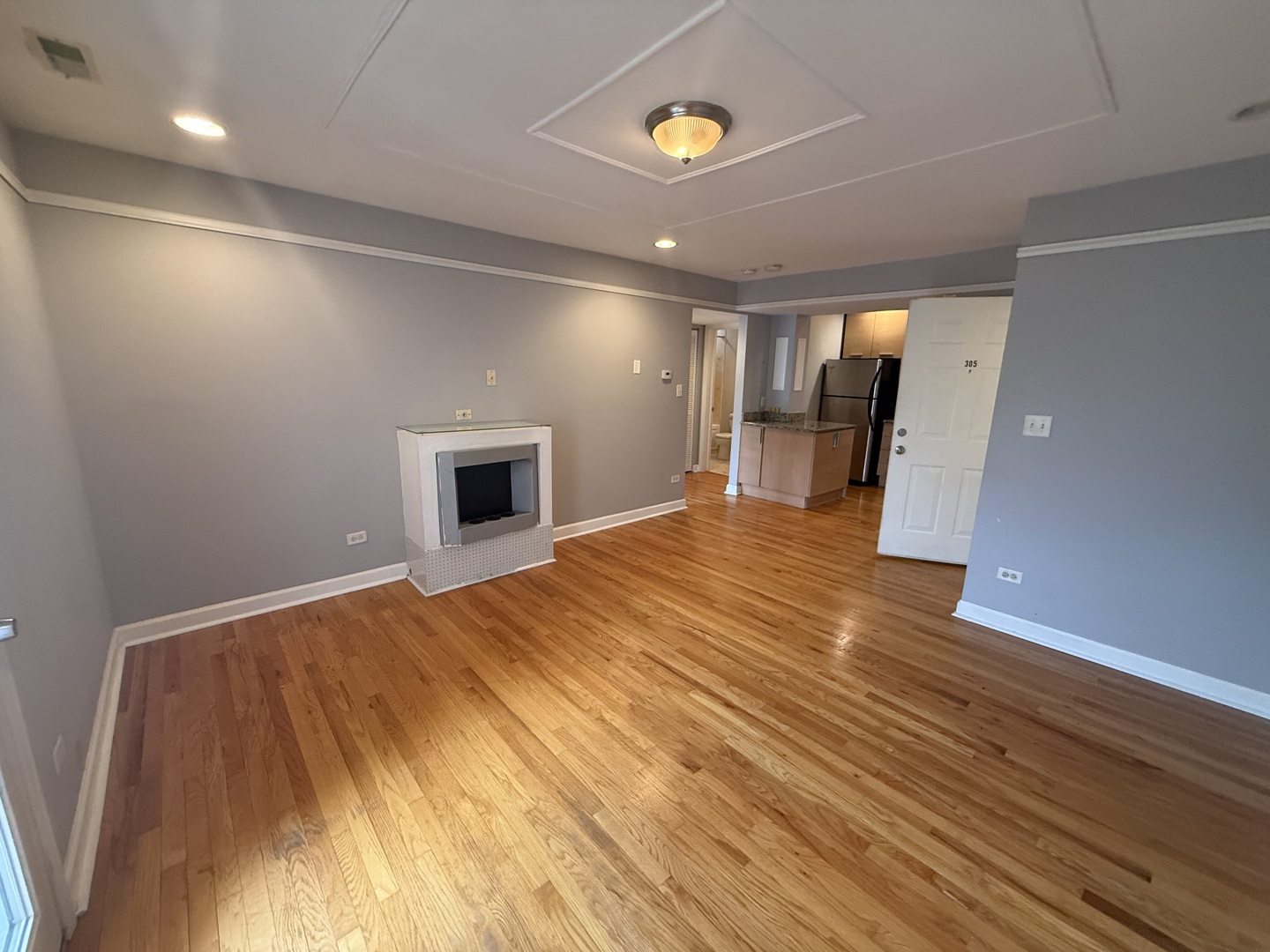 6954 North Greenview Avenue, Unit 305 Chicago, IL 60626 - Photo 3 of 13