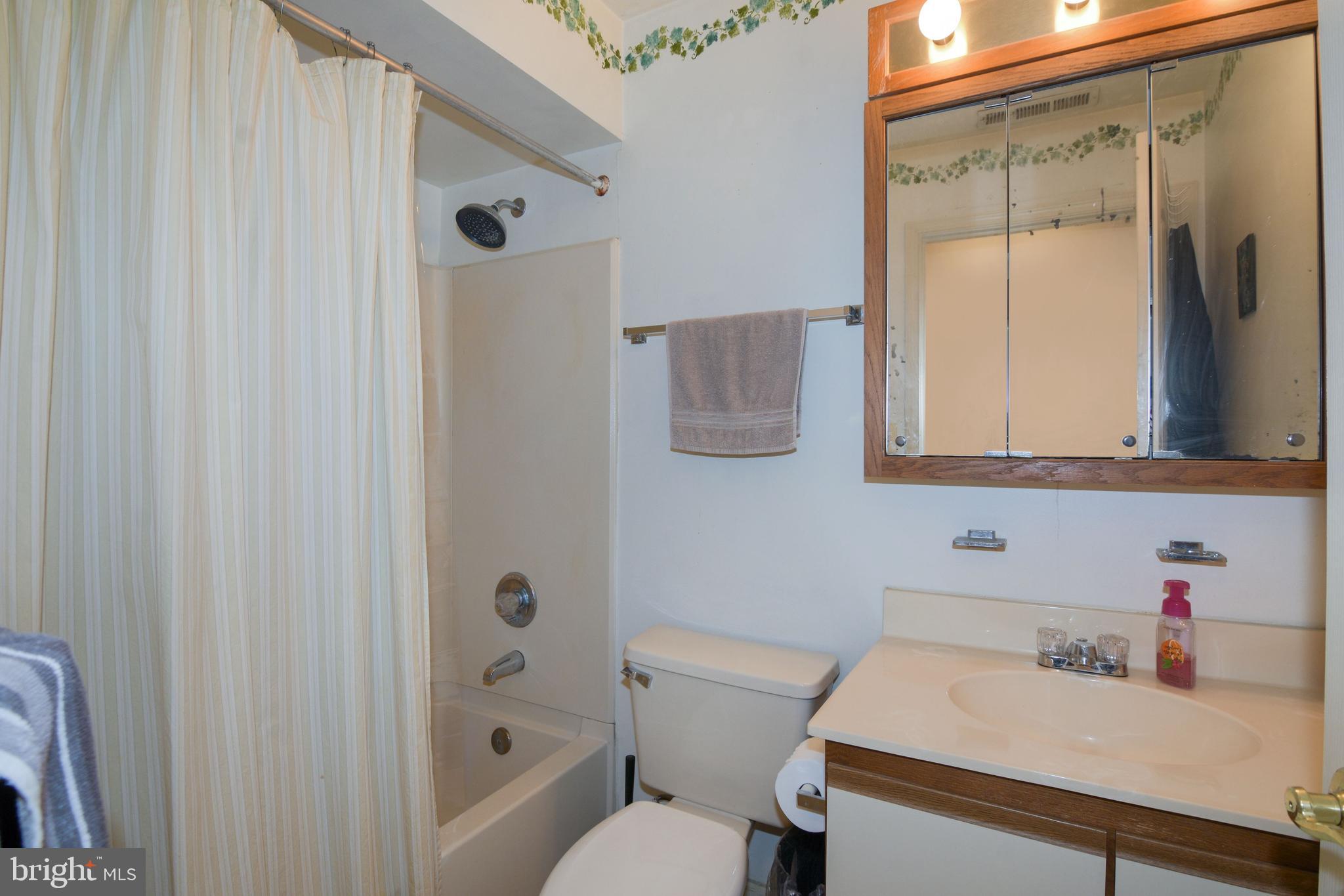 8611 Falls Run Road, Unit L Ellicott City, MD 21043 - Photo 21 of 23 Primary Bath