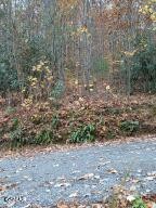 3 Rocky Ridge Road Cosby, TN 37722 - Photo 2 of 7 Gallery Image 2