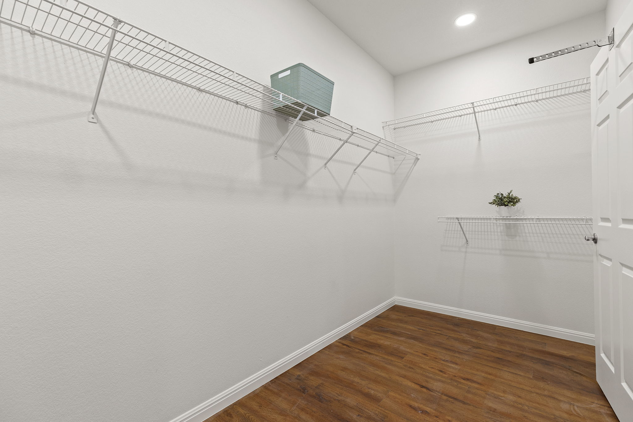120 Ruellia Drive Georgetown, TX 78633 - Photo 7 of 39 Primary walk-in closet