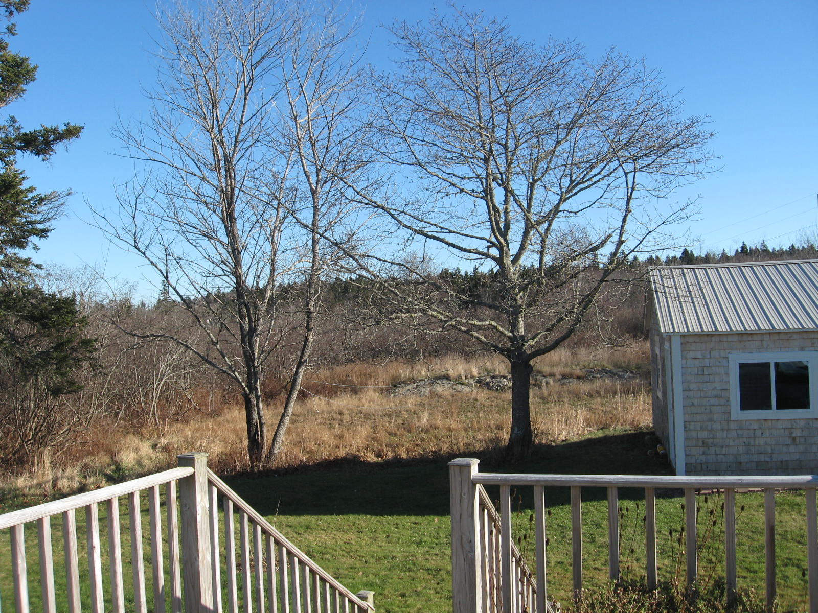 294 Mooseneck Road Addison, ME 04606 - Photo 17 of 20 IMG_0008