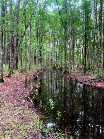 $400,000 | 2150 Hughes Drive, Cottageville, SC 29435