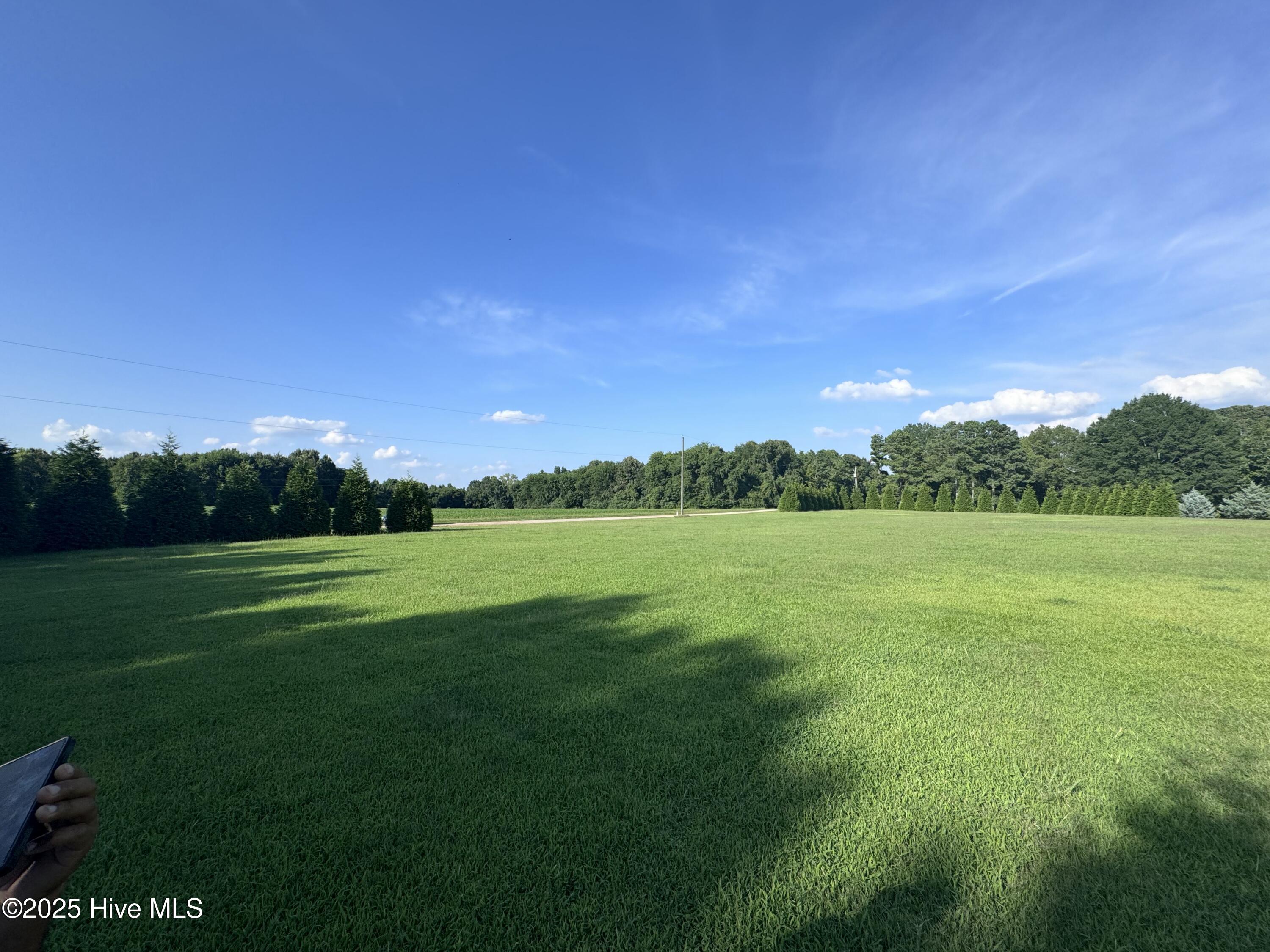 0 Wray's Court Gaston, NC 27832 - Photo 4 of 8 IMG_0525