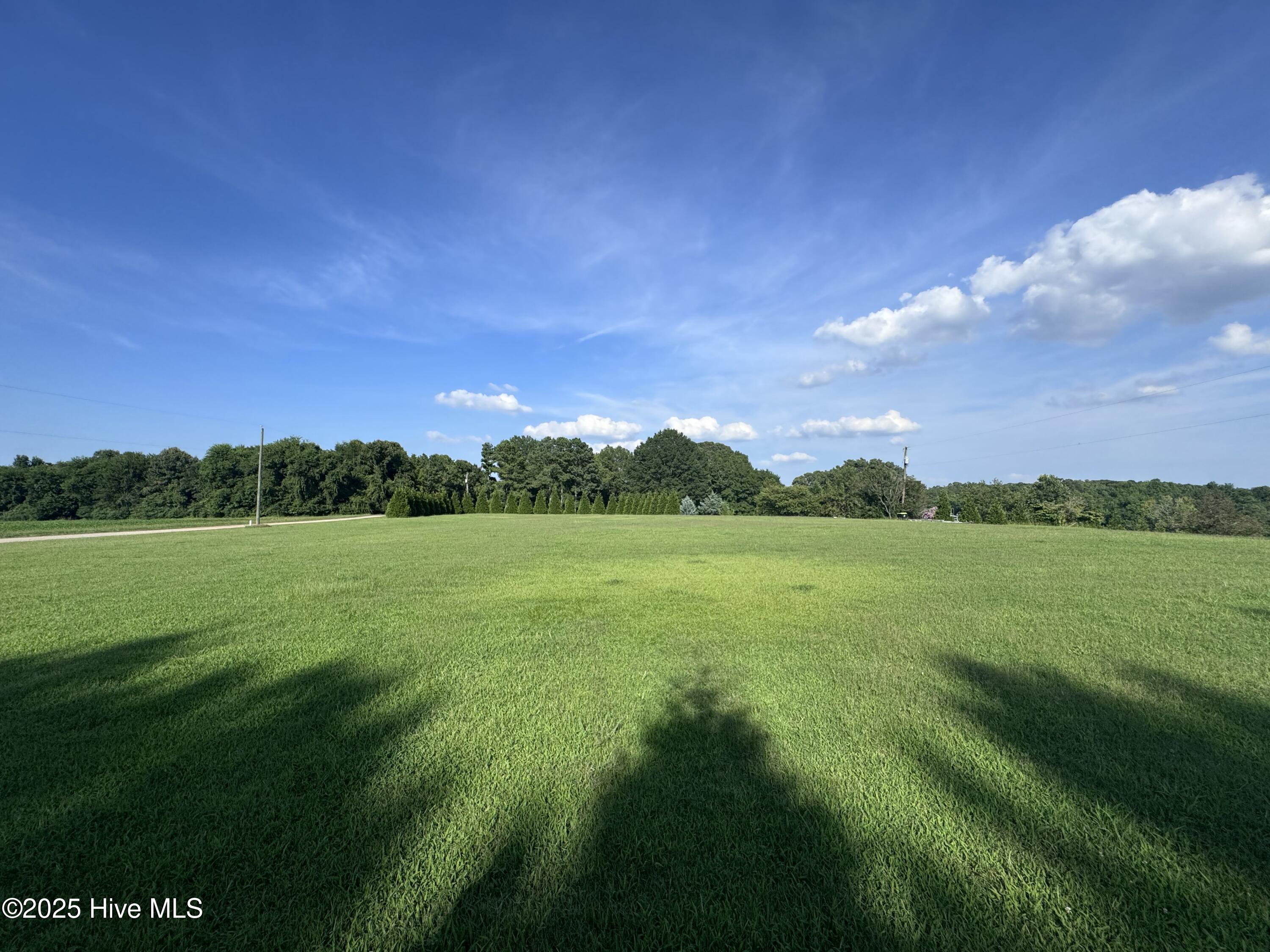 0 Wray's Court Gaston, NC 27832 - Photo 5 of 8 IMG_0527