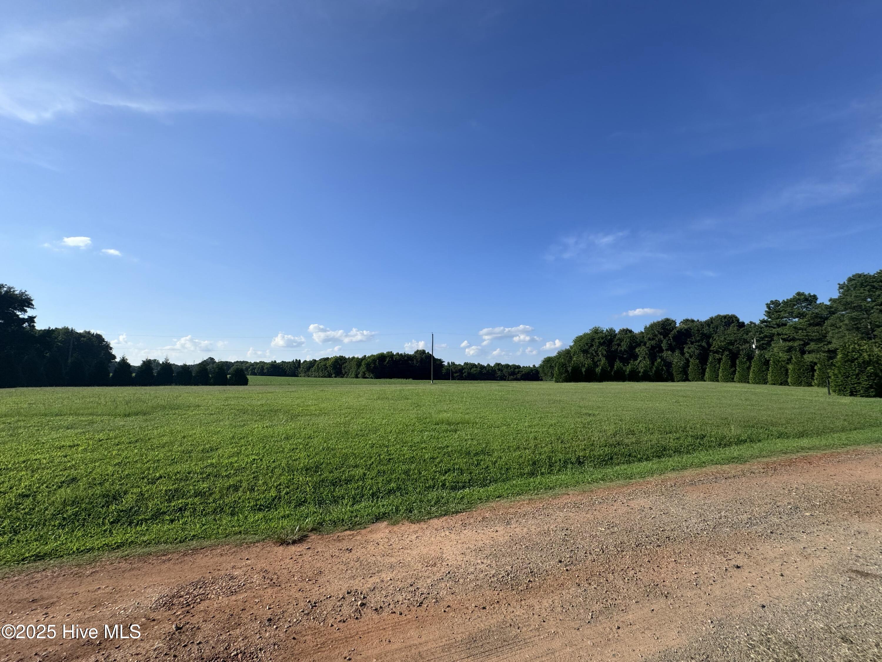 0 Wray's Court Gaston, NC 27832 - Photo 6 of 8 IMG_0529