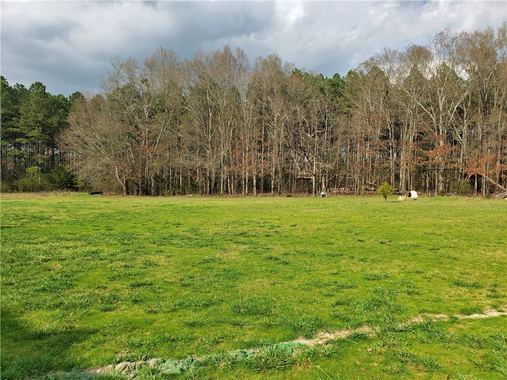 1723 Flat Rock Road Starr, SC 29684 - Photo 10 of 29