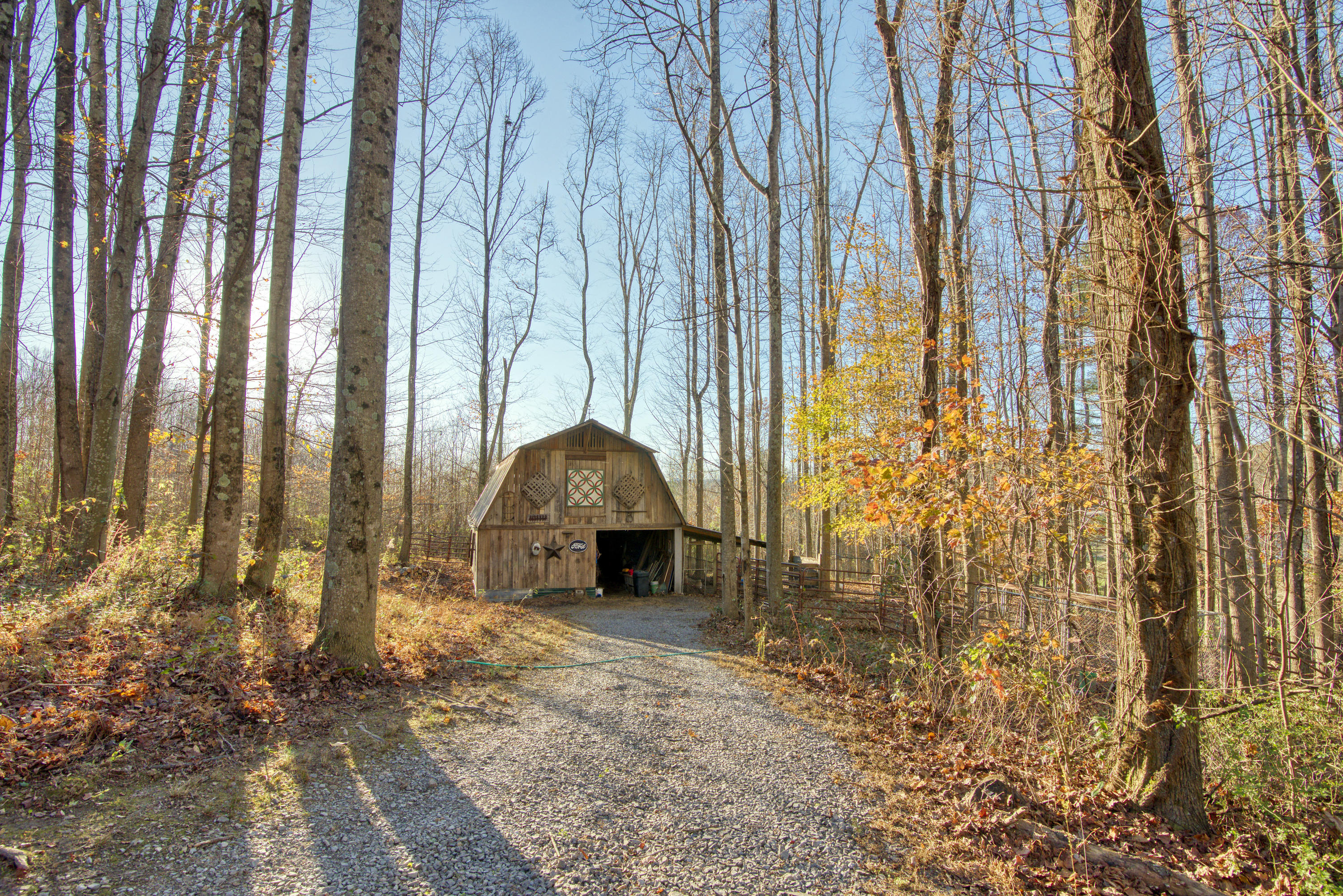 190 Dogwood Hills Road Fall Branch, TN 37656 - Photo 54 of 69 DSC_1797__Dogwood