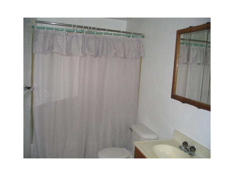 313 Stotler Road Penn Hills, PA 15235 - Photo 16 of 25 Master Bath/Spa.