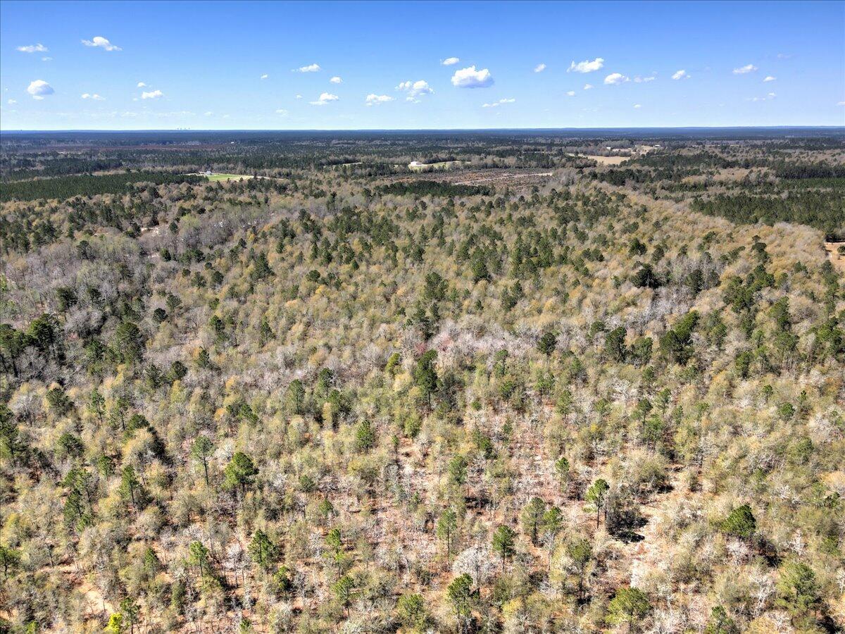 40.07-acre Tanglewood Road Williston, SC 29853 - Photo 3 of 9